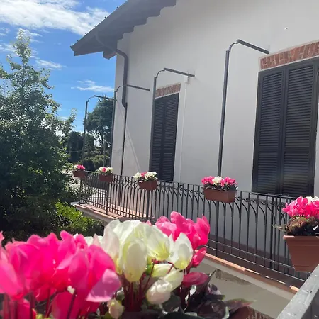 Simona Malpensa Gallarate